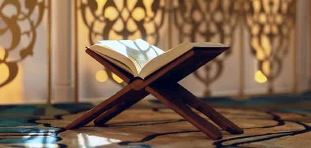 تاج الوقار قصيدة في مدح حافظ القران