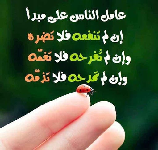 أقوال تبهر العقول بالصور 2