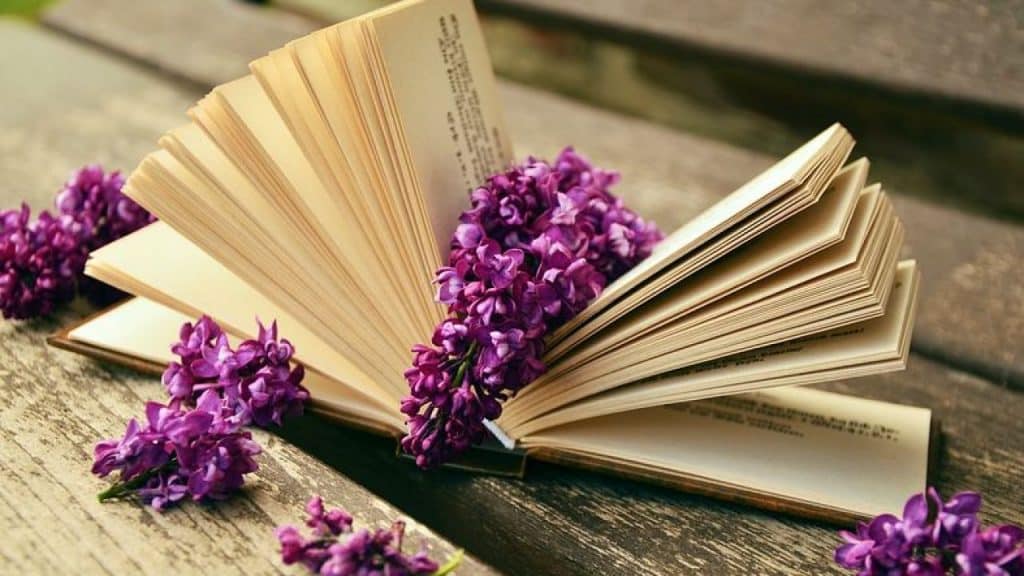 تعبير عن موقف مفرح قصير