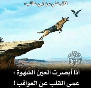 أقوال تبهر العقول بالصور 3