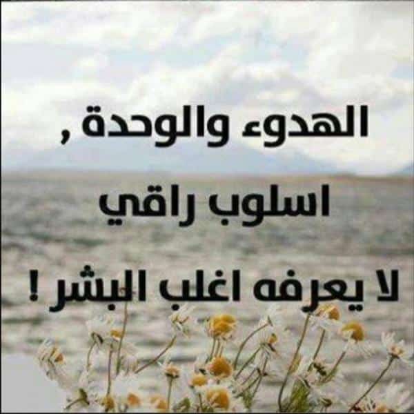 كلام عن الراحة تويتر  5