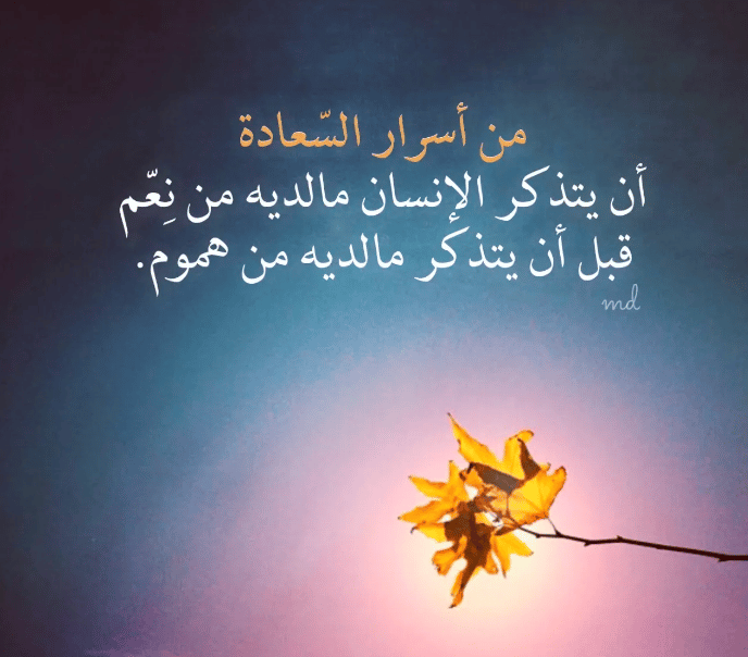 كلام يجعل الشخص سعيد