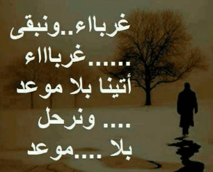 كلام جميل يريح القلب والنفس تويتر 4