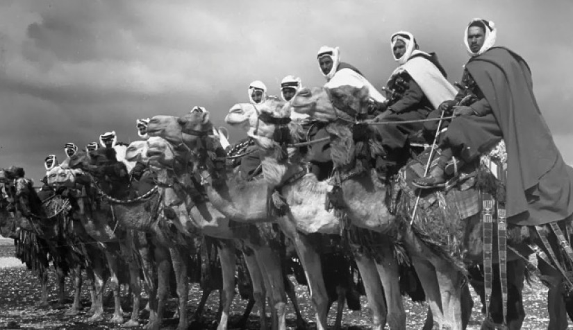 تقرير عن الثورة العربية الكبرى