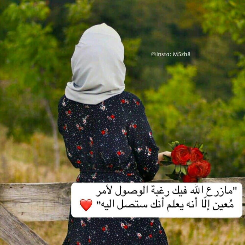 كلام عن السعادة تويتر  2