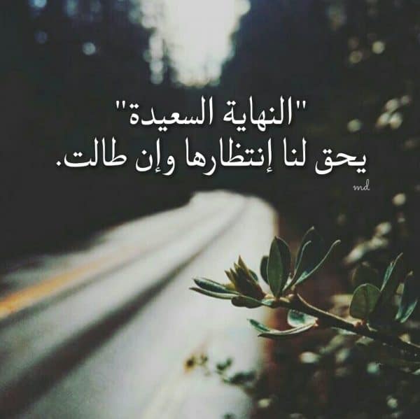 كلام يبعث الأمل في النفوس تويتر 2