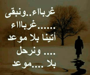 كلام من صميم الواقع تويتر