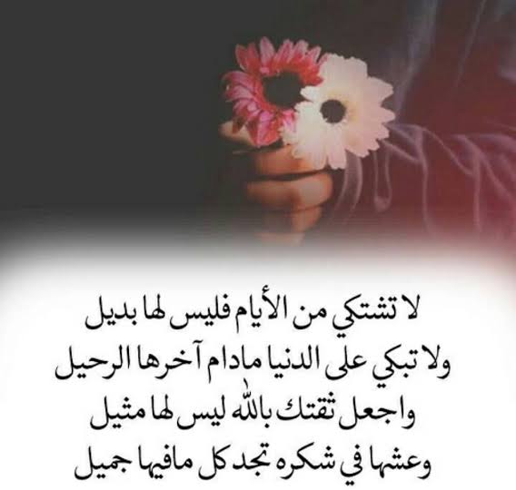 كلام من صميم الواقع تويتر