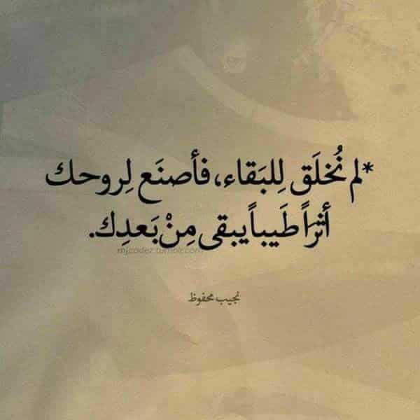 كلام اواسي فيه شخص متضايق تويتر 3