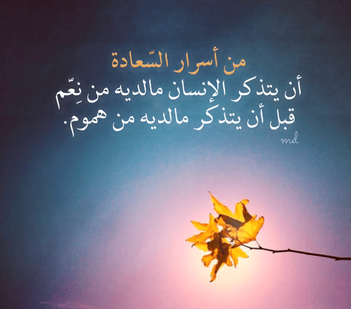 كلام عن السعادة تويتر  4