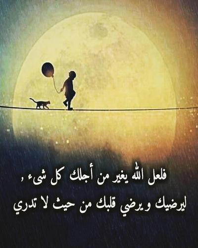 كلام يجرح القلب تويتر 4