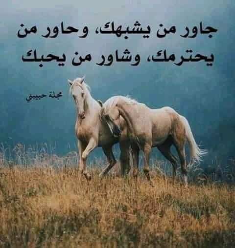 كلام يحير الجميع
