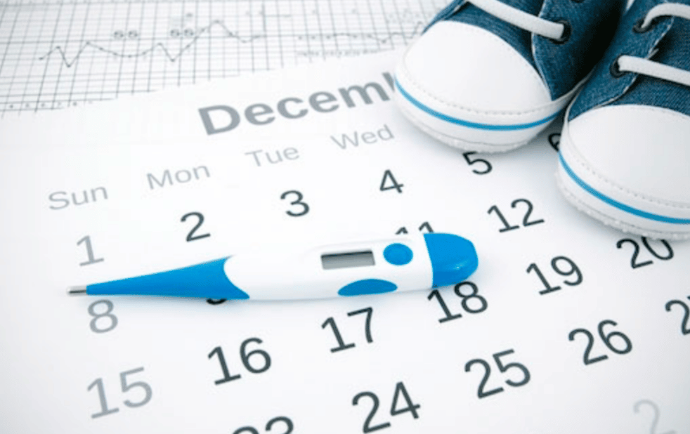 برنامج حساب الحمل بالاسابيع بالعربي