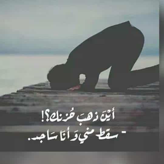 كلام يريح البال