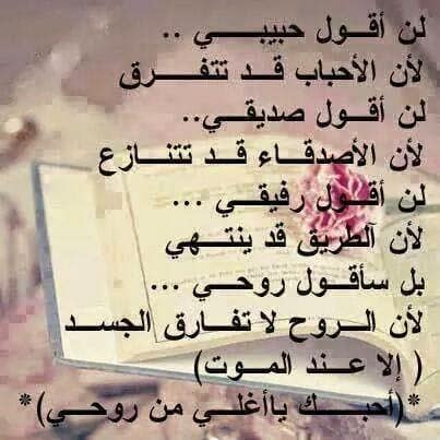 كلام جميل يدخل القلب