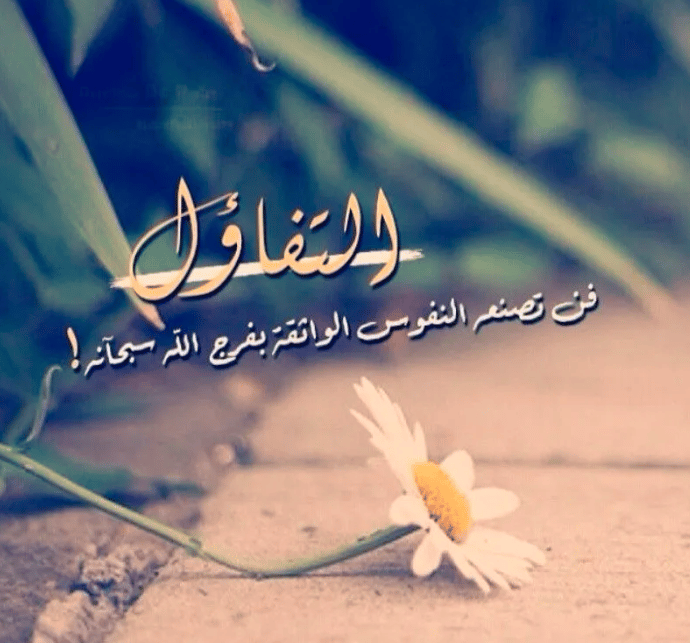 كلام يجعلك متفائل