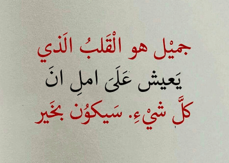 كلام يبرد القلب