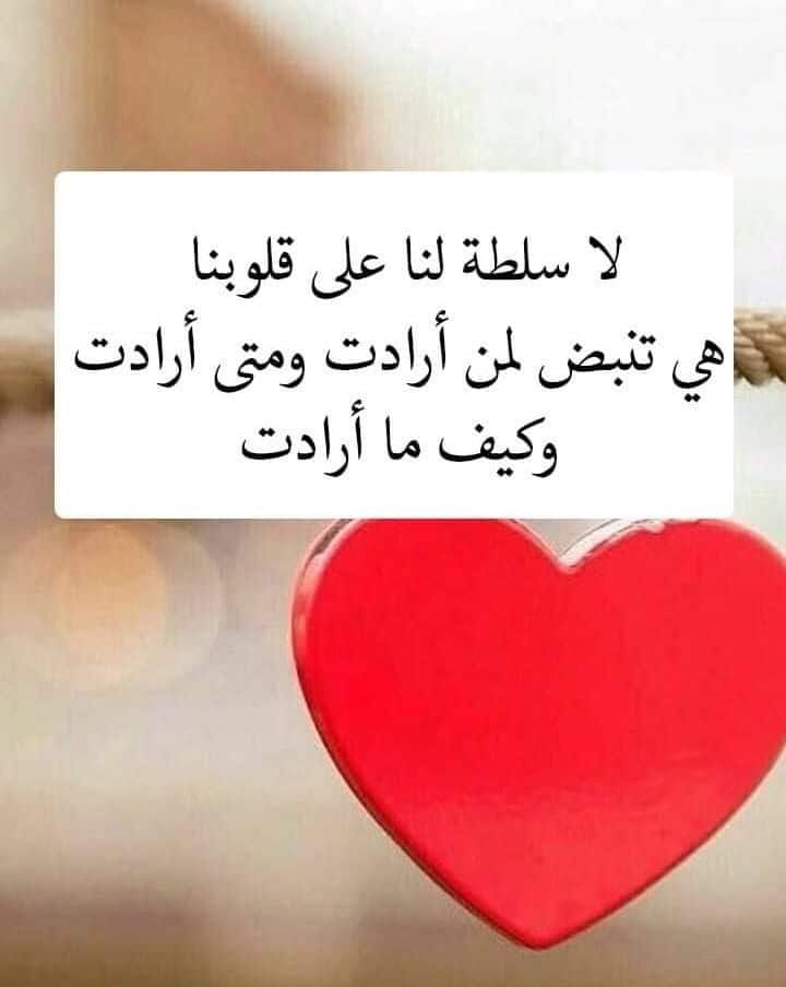 كلام لتهدئة الحبيب