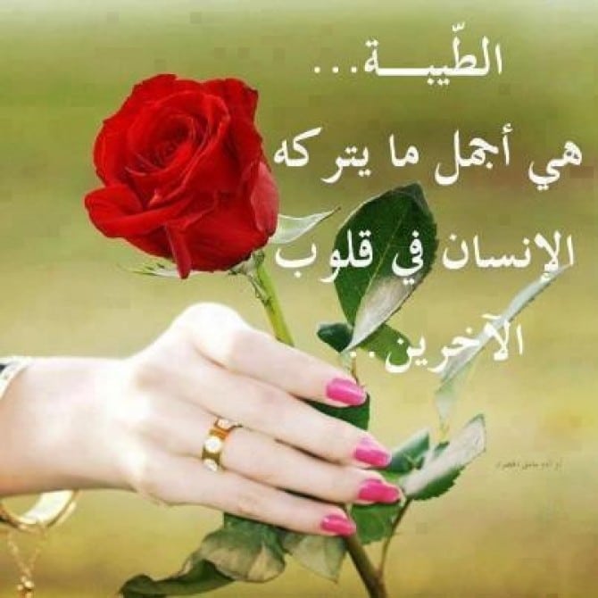 كلام جميل عن الناس الجميلة