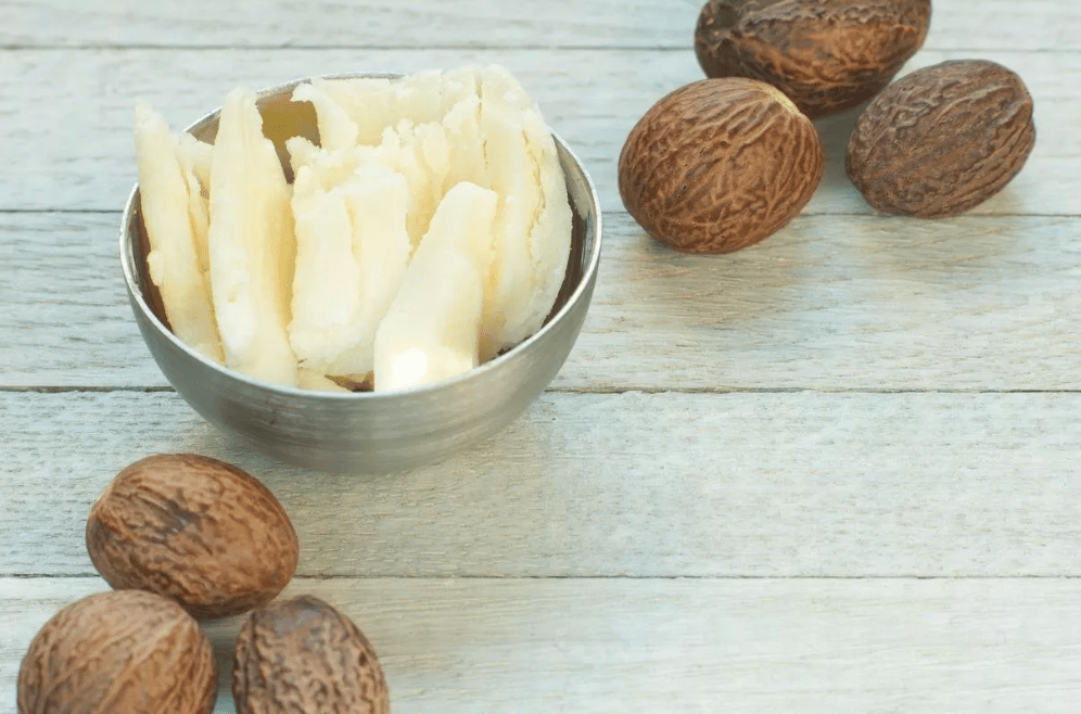اسماء ماركات زبدة الشيا