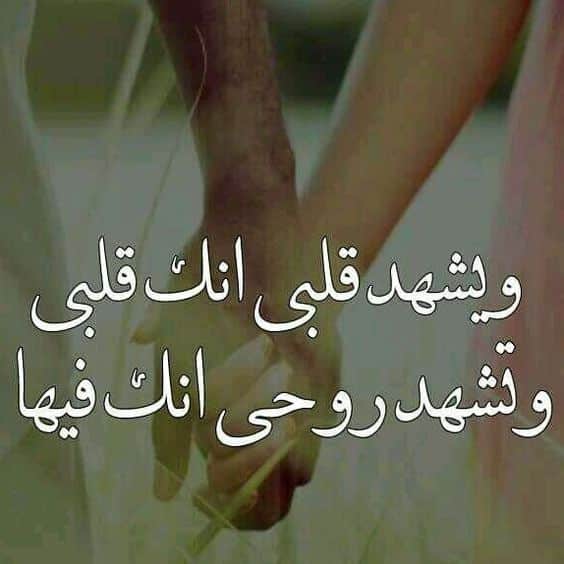 كلام رومانسي يكتب على الصور