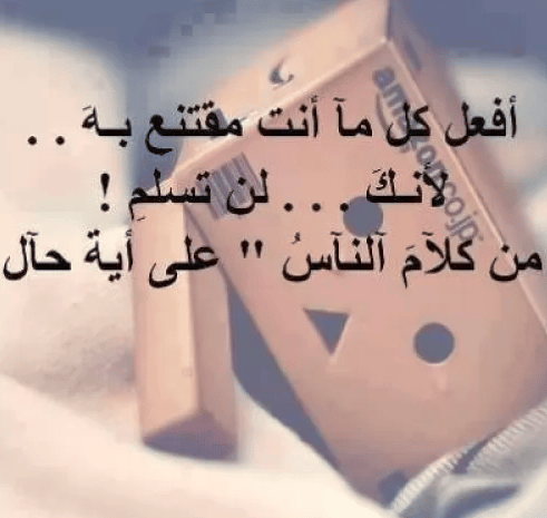 كلام يسكت العدو