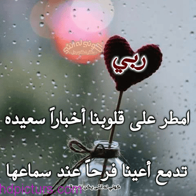 كلام جميل يدخل القلب