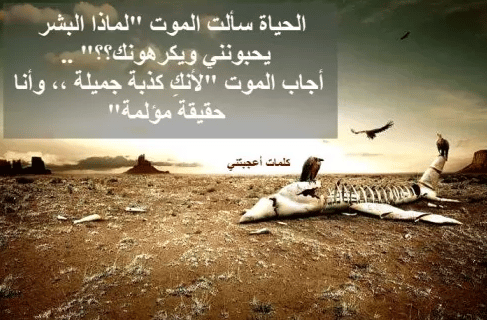 كلام يسكت العدو