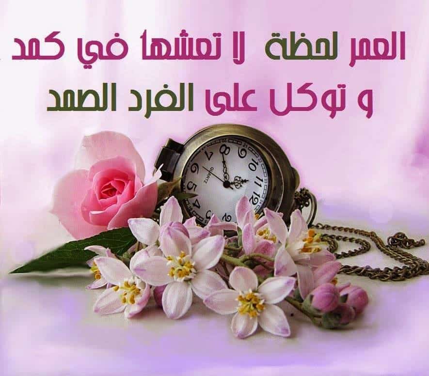 عبارات تكتب على الصور الشخصية للشباب سرسجية
