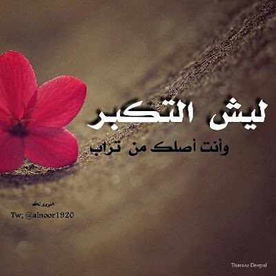 كلام يغيظ الناس
