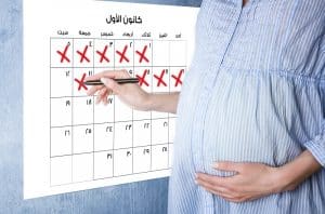 برنامج حساب الحمل بالاشهر