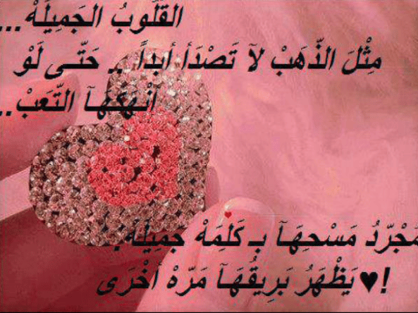 عبارات تسعد القلب