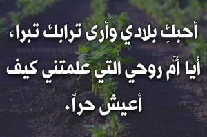 تعبير عن حبي لمدينتي