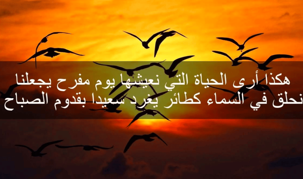 التفاؤل في الحياة