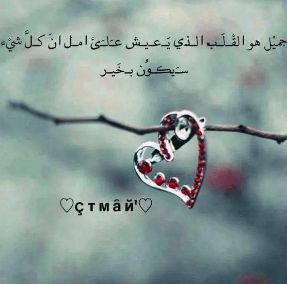 الأمل في الحب