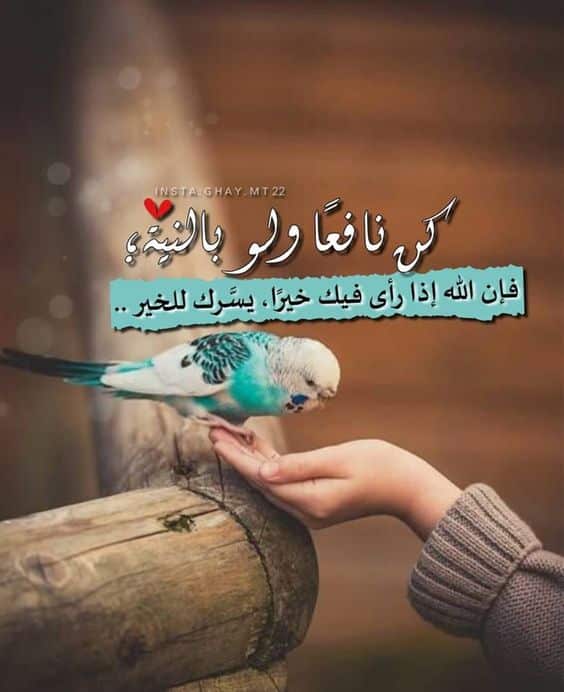 كلام ديني يريح القلب حالات واتس1