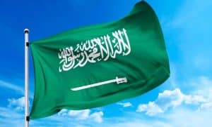 أمثلة على القطاع العام في السعودية