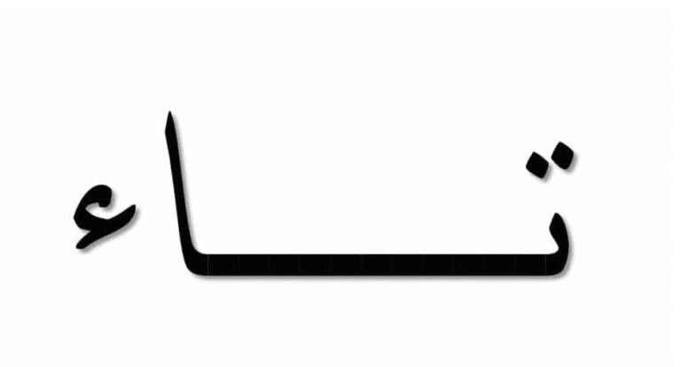 ابيات شعرية بحرف التاء