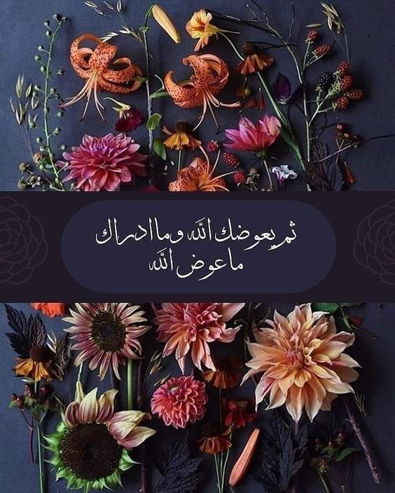 كلام ديني يريح القلب حالات واتس2