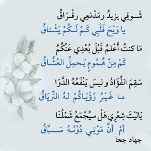 ابيات شعرية تويتر