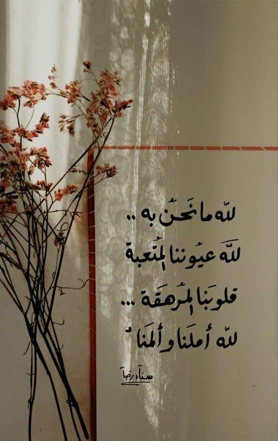 كلام ديني يريح القلب حالات واتس3