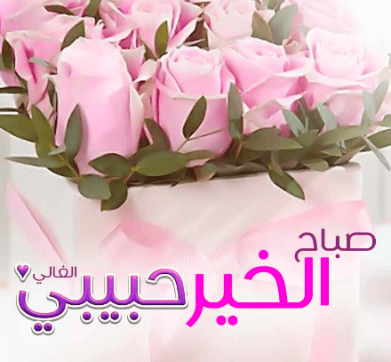 رسالة صباحية للحبيب تويتر 3