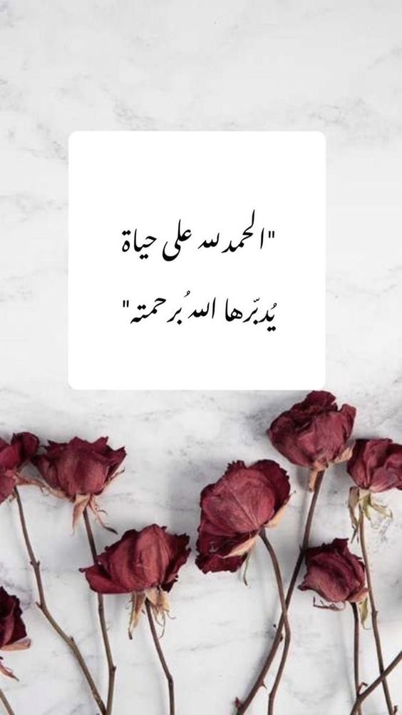كلام ديني يريح القلب حالات واتس2