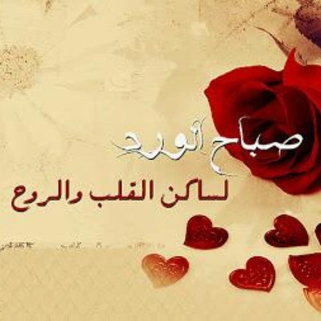 حالات صباح الخير حبيبي 3