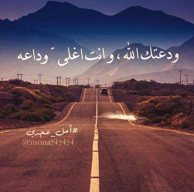 كلام عن صديقتي مسافرة تويتر 3