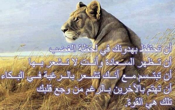 كلمات لها معنى بالصور فيس بوك 3
