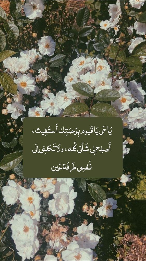 كلام ديني يريح القلب حالات واتس1