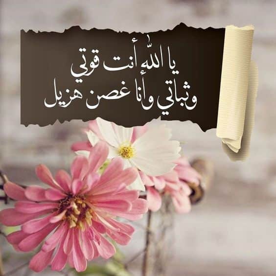 كلام ديني يريح القلب حالات واتس2