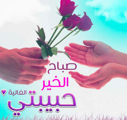 بوستات صباح الخير حبيبي 5