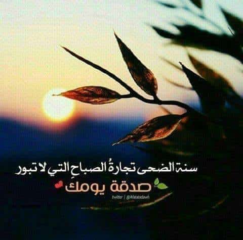عبارات عن صلاة الضحى _تويتر 2